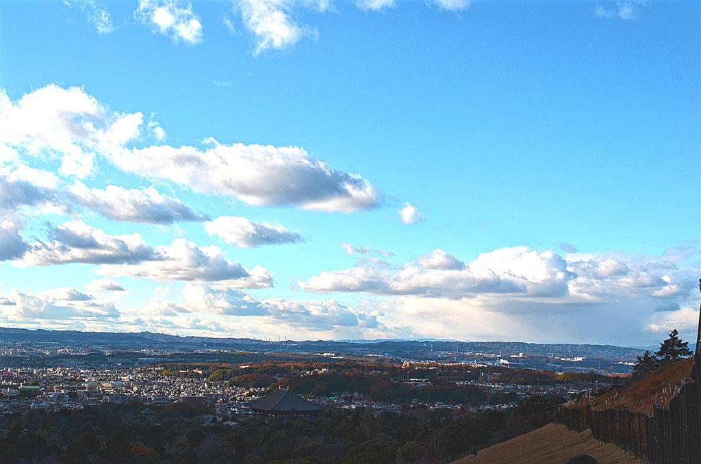 Nara's Sky