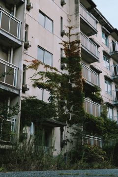 廃社宅