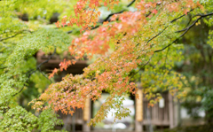 四国八十八ケ所　霊場　第88番札所 医王山 遍照光院 大窪寺　