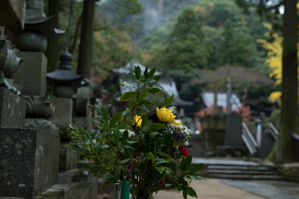 四国八十八ケ所　霊場　第88番札所 医王山 遍照光院 大窪寺　