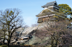石垣復活まであと○○