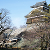 石垣復活まであと○○
