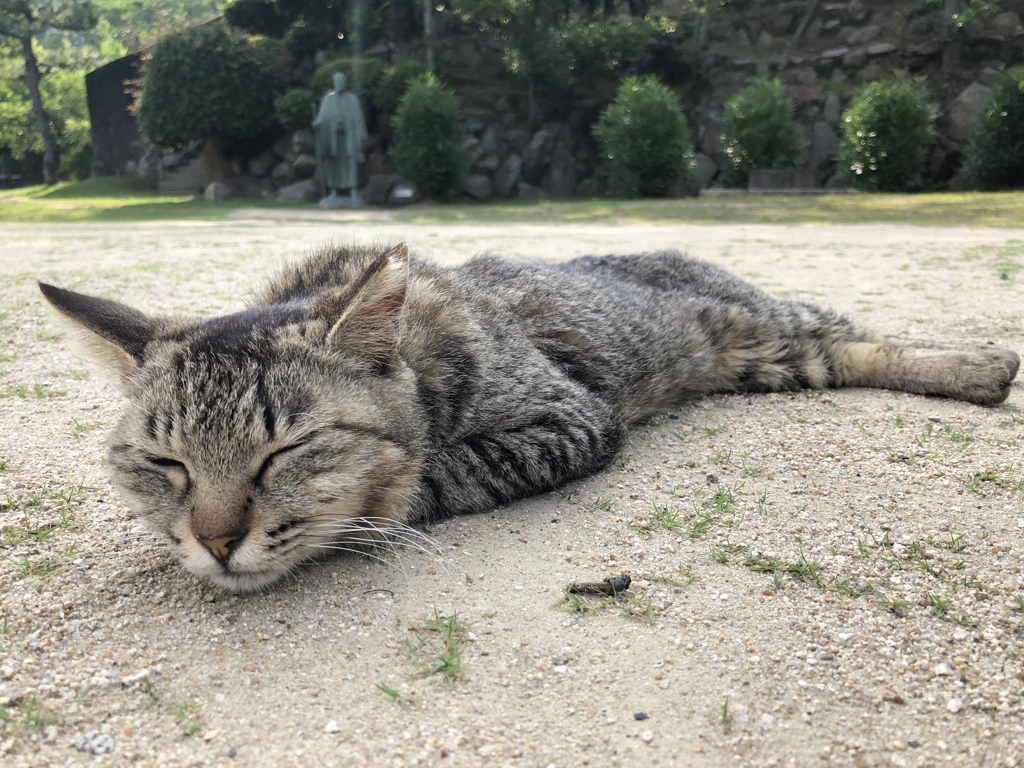猫の細道