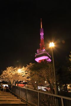20180402 桜とタワー