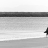 Ｓｕｒｆｉｎｇ