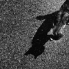 BLACK　CATS