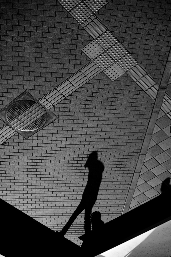 The shadow which walks
