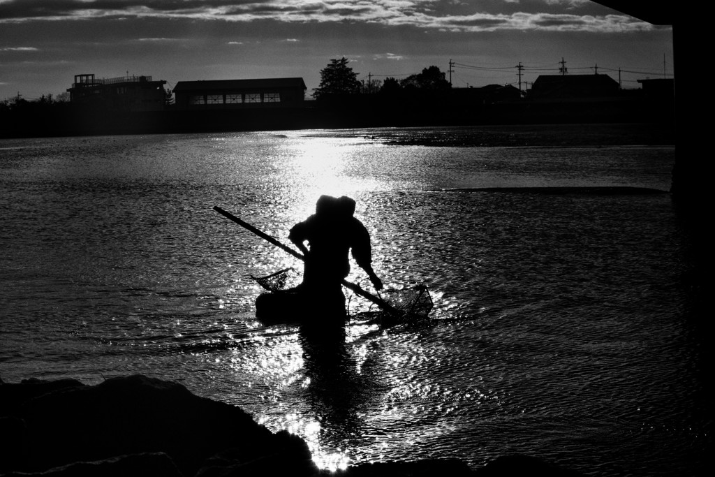 Shell Hunter