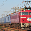 EF81-138牽引 9533レ 日本海縦貫線号