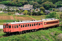 キハ52＋キハ28 普通列車