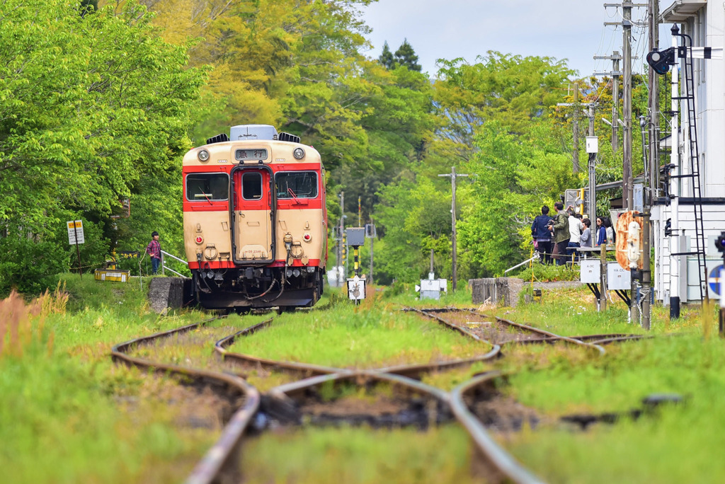 新緑のいすみ鉄道