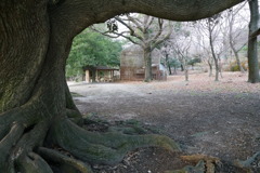 DSC01001