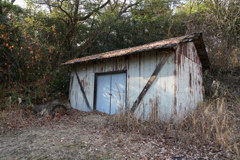 DSC00895