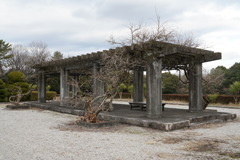 DSC00923