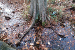 DSC00724_s