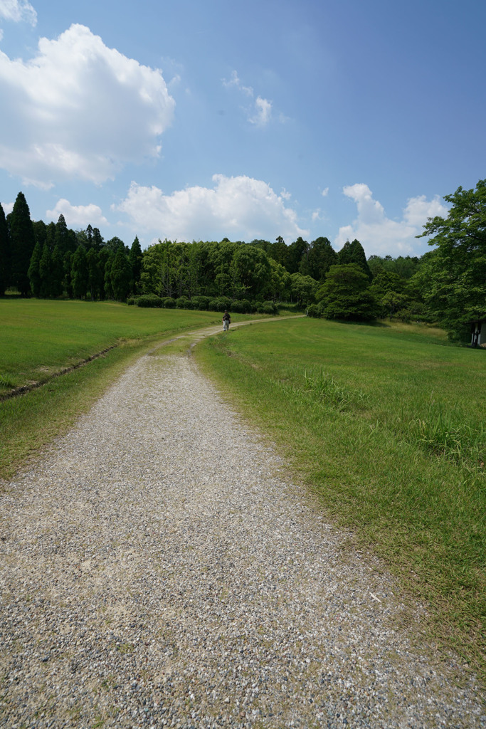 森林公園