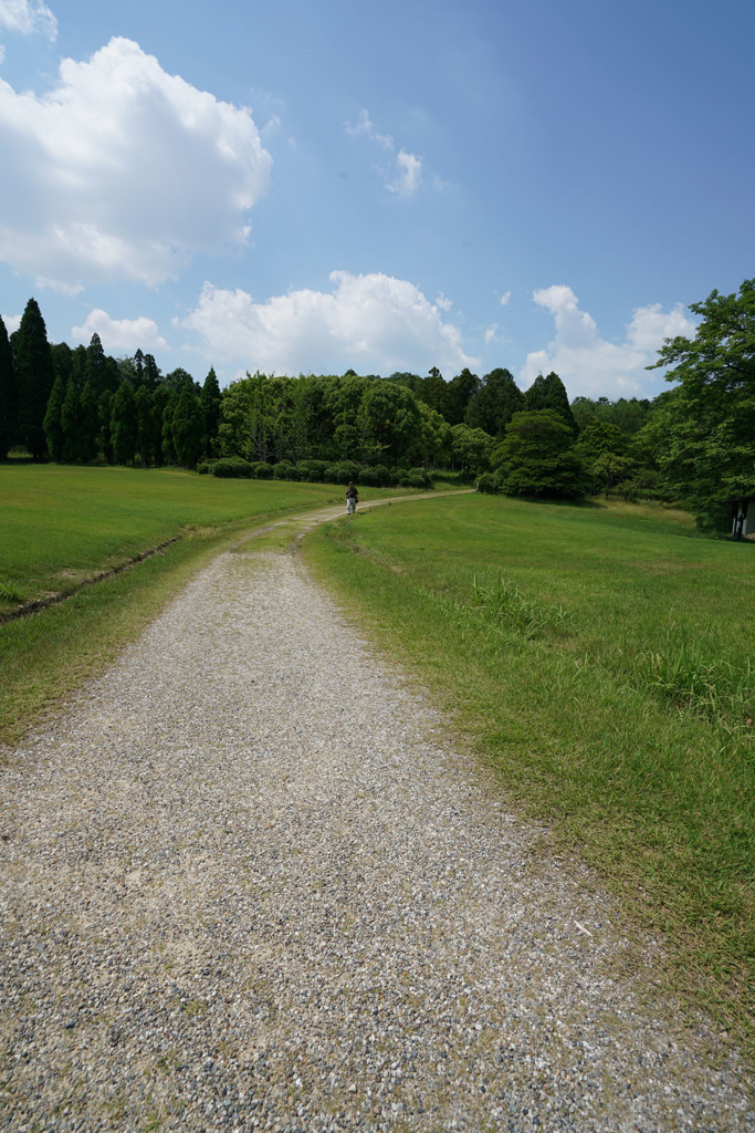 森林公園