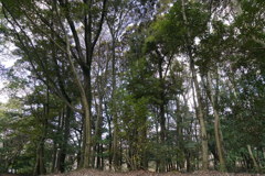 DSC00907