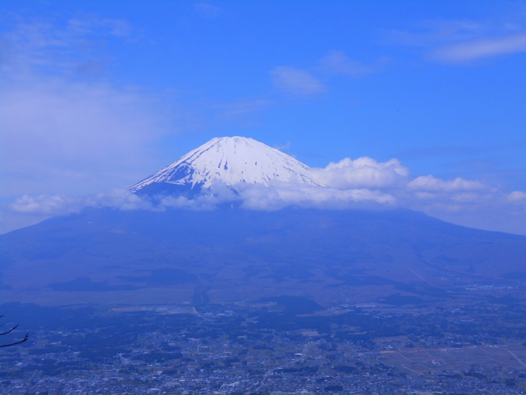 文句無しの富士山