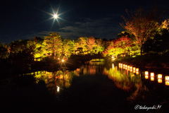 紅葉とほぼ満月