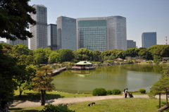 201705_浜離宮0159