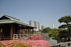 201705_浜離宮0139