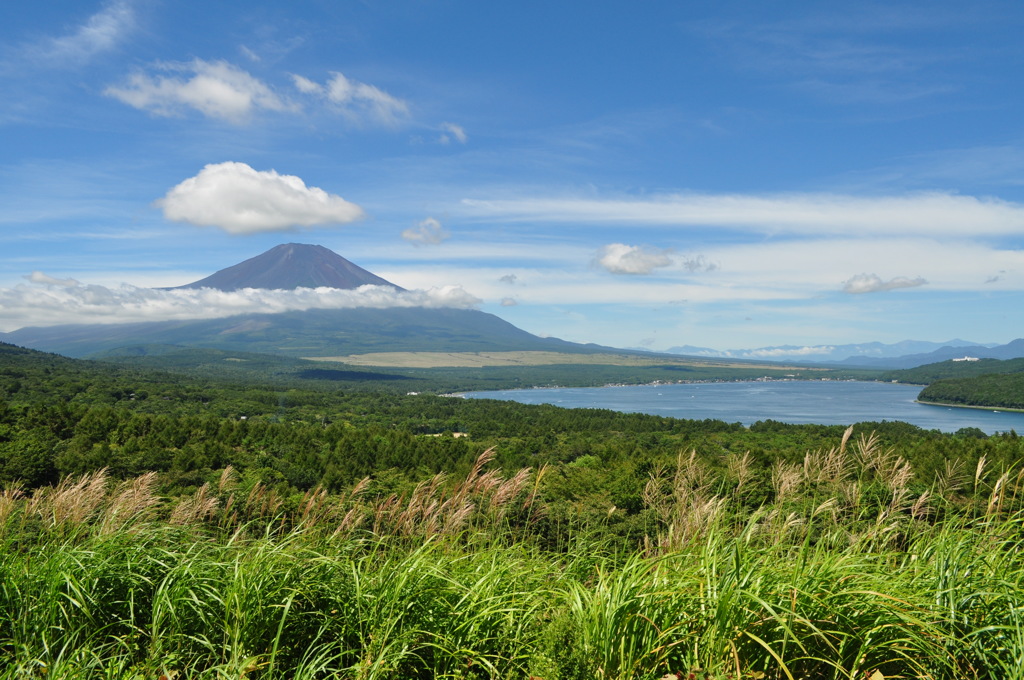 20180818_山中湖ﾊﾟﾉﾗﾏ台_DSC_0523