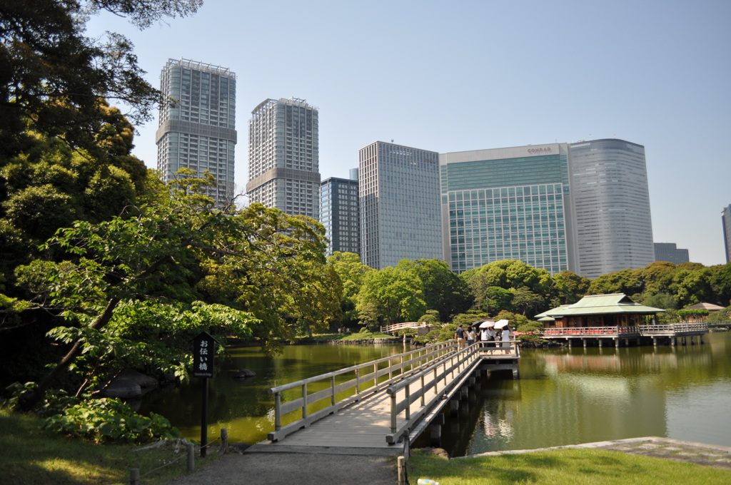 201705_浜離宮0151