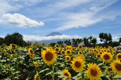 20180818_山中湖花の都公園_DSC_0570