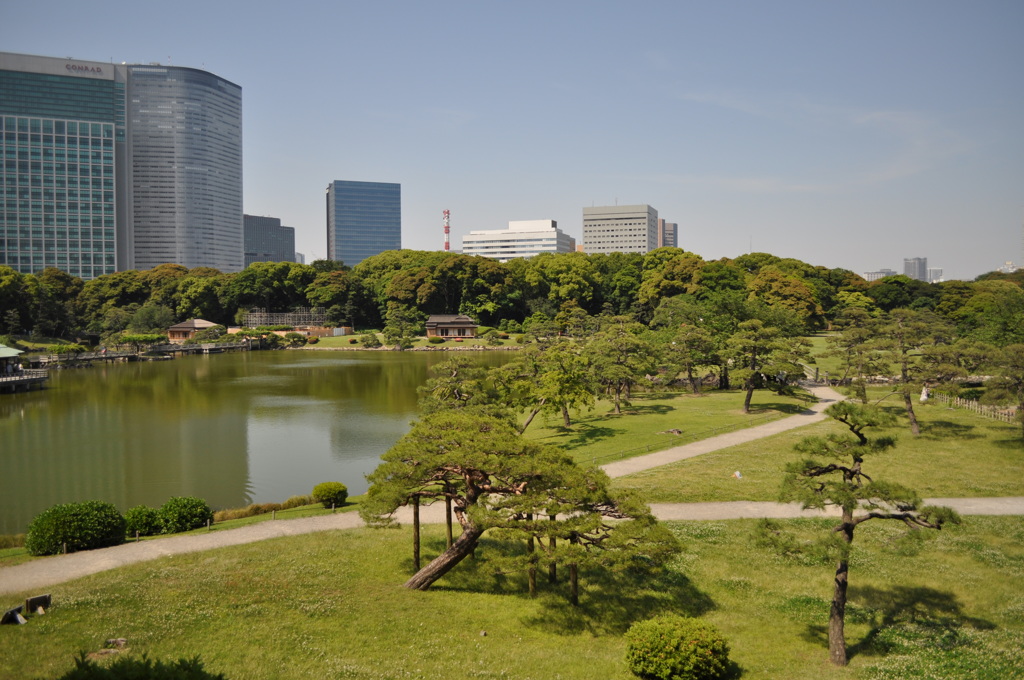 201705_浜離宮0157
