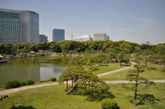 201705_浜離宮0157