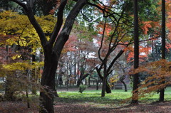 201612_平林寺_0305