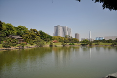 201705_浜離宮0129