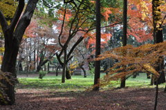 201612_平林寺_0044