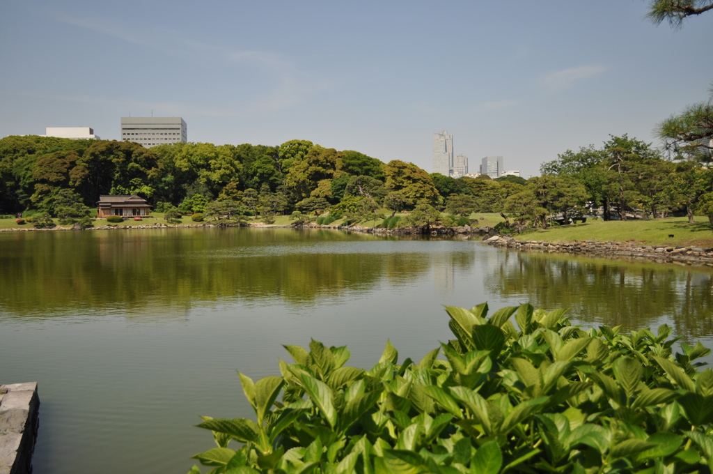 201705_浜離宮0148