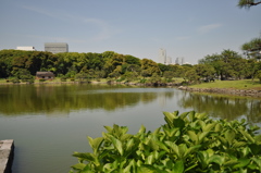 201705_浜離宮0148