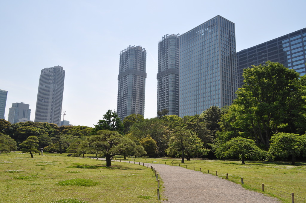 201705_浜離宮0104