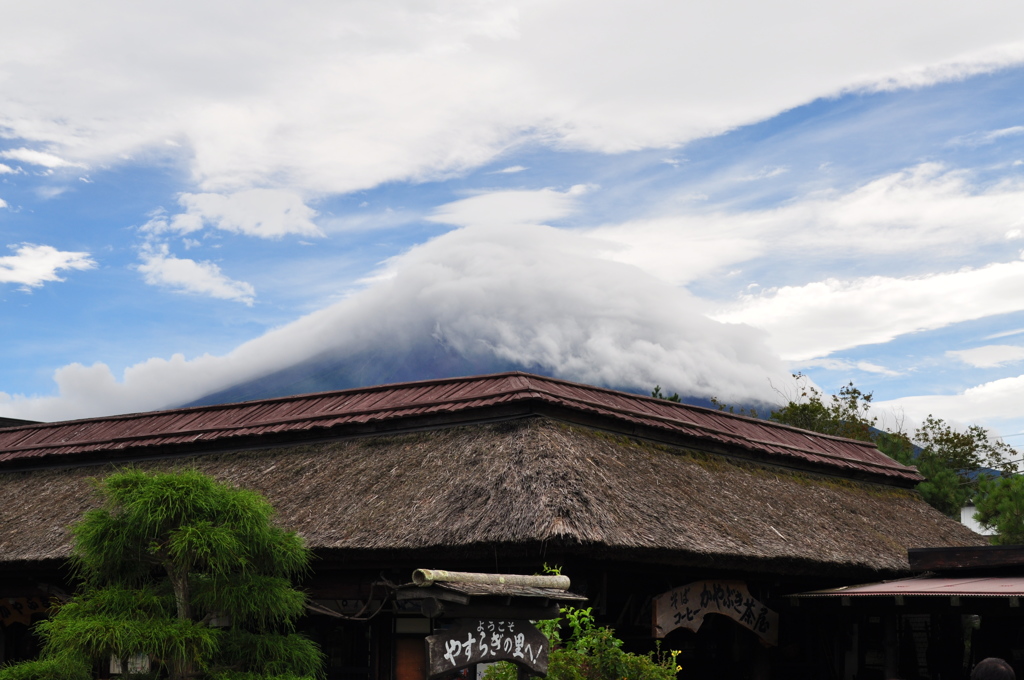 20180816_忍野八海_菖蒲池付近_DSC_0067