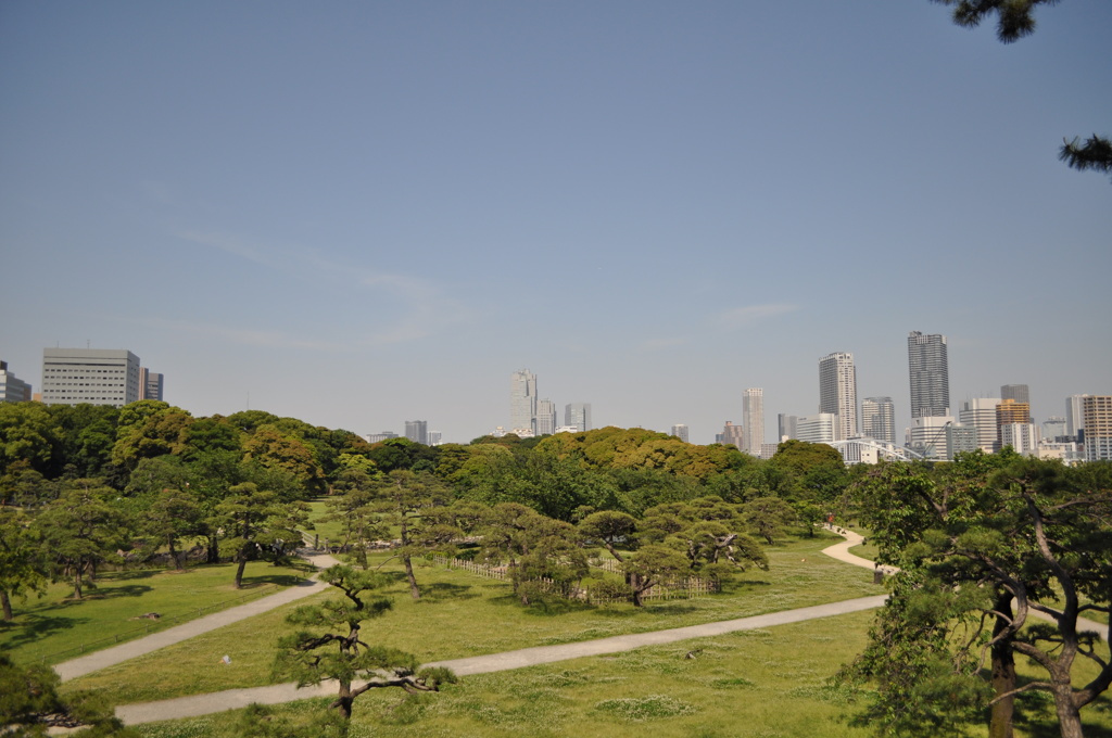 201705_浜離宮0158