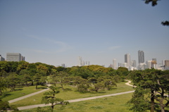 201705_浜離宮0158