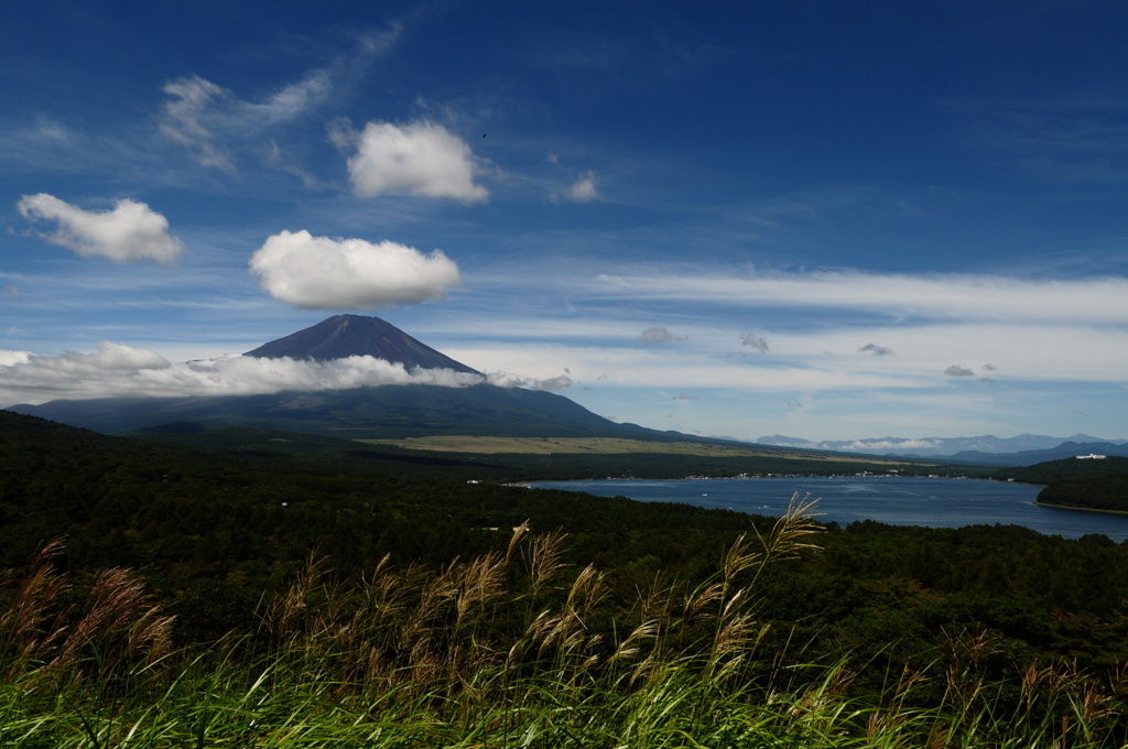 20180818_山中湖ﾊﾟﾉﾗﾏ台_DSC_0513