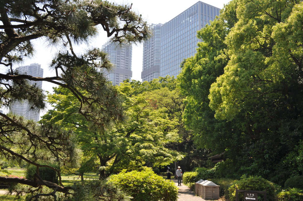 201705_浜離宮0103