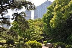 201705_浜離宮0103