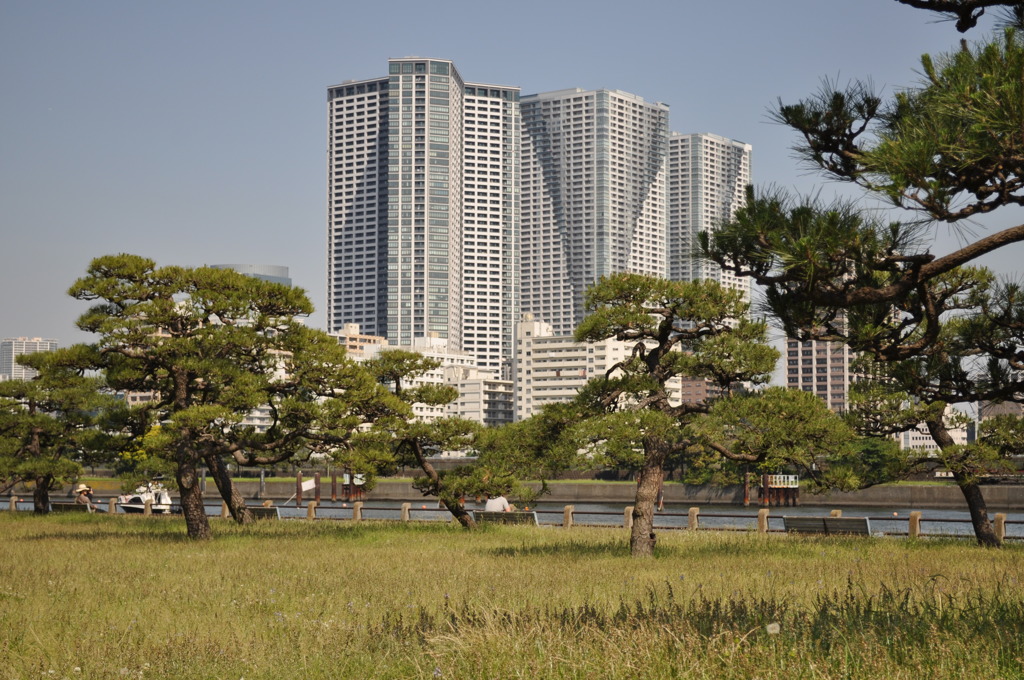 201705_浜離宮0165