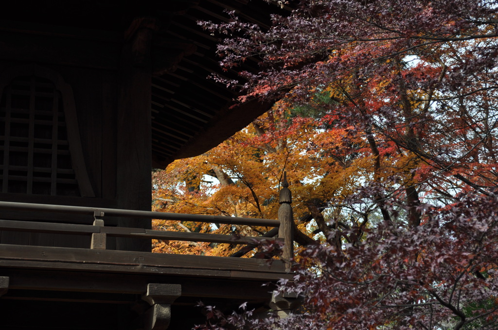 201612_平林寺_0279