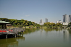 201705_浜離宮0143