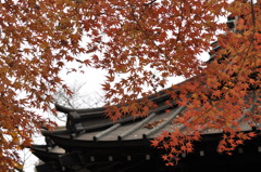201612_平林寺_0307