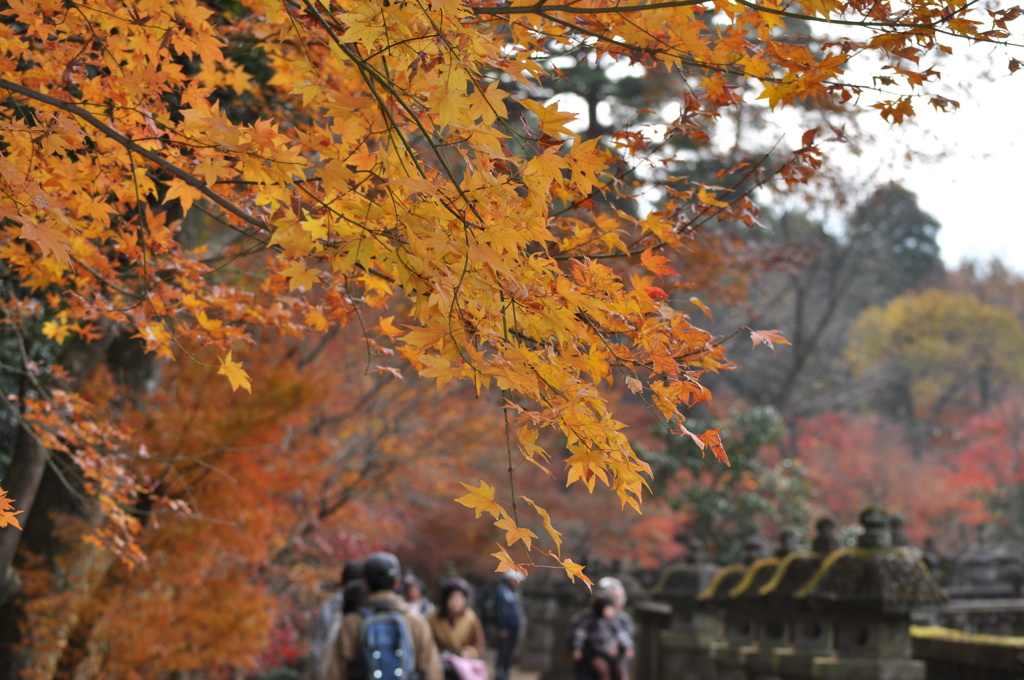 201612_平林寺_0039