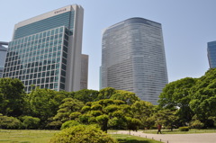 201705_浜離宮0107