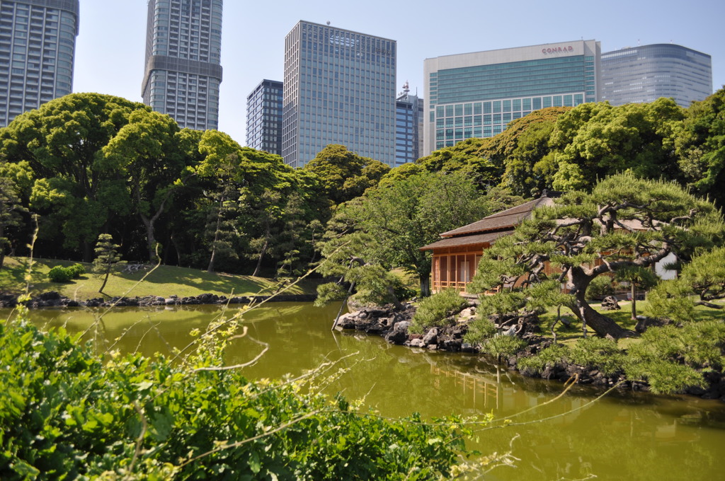 201705_浜離宮0122